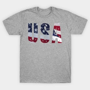 USA Flag First United States Flag Patriotic 0701 T-Shirt